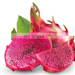 Natural Fresh Dragon Fruit/ Fresh Pitaya From Vietnam thumbnail-2
