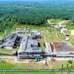 Medium and Large Scale Palm Oil Processing Mill Plant thumbnail-2