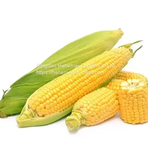 Cauliflower, Broccoli,carrots,sweet Corn, Garlic Frozen Vegetables thumbnail-2