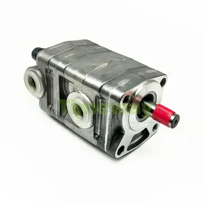 YPD1 Double Gear Pump YPD1-2.52.5A2D2-L038 High Pressure Hydraulic Heavy-duty Gear Lubetransfer Oil Pump thumbnail-2