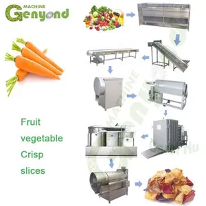Cococut Chips Pineapple Chips Processing Line thumbnail-6