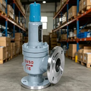 CBT3843-1999 Marine Angle Flange Pressure Relief Valve, 1-Year Performance Warranty thumbnail-1