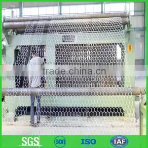 1/2" Plastic Coated Hexagonal Chicken Wire Netting thumbnail-1