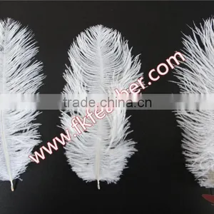 Wholesale Cheap DIY Multicolor Craft Small White Ostrich Feather 15cm to 20cm For Wedding Decorations thumbnail-3