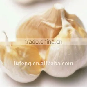 Fresh Garlic thumbnail-1