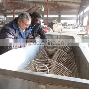 Hotasle Cassava Peeling Machine l Cassava Peeler for Cassava Flour Processing Line thumbnail-4