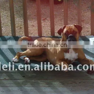 PE Rectangle Pet Bed thumbnail-1