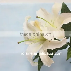 Cheap Whole Sale Lily For Cut Flower For Banquets thumbnail-1