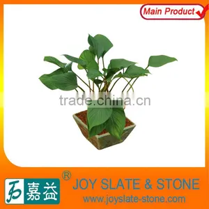 Beautiful Garden Deocraitve Plant Stone Bonsai thumbnail-1