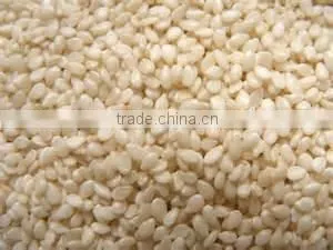 Organic Roasted Hulled Sesame Seeds thumbnail-2