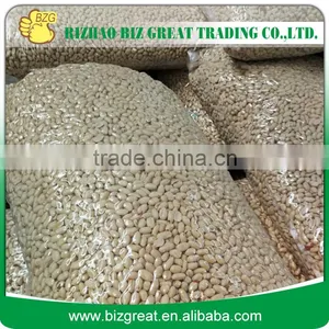 Peanut Kernels 38-42, 28-32, 24-28 thumbnail-6