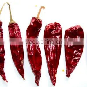 Dried Chilli thumbnail-1