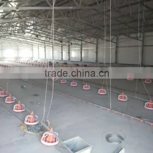 Automatic Broiler Feeding Line Raising Equipment thumbnail-3