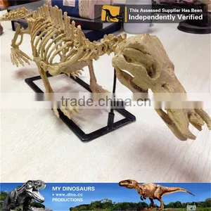 MY Dino-A12 Museum Quality Artificial Prehistoric Animal Fossil Replica thumbnail-1