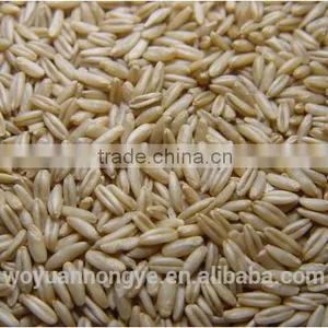 Oats thumbnail-1