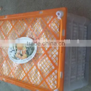 Names of Fruit Products Mandarin Orang With Complete Price thumbnail-3