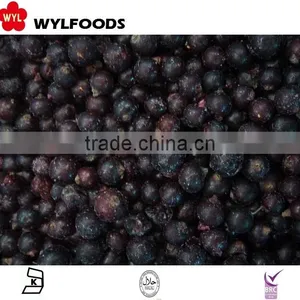 IQF Price Frozen Balck Currant thumbnail-1