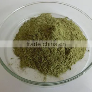 Organic Moringa Leaf Powder Wholesale ( Skype: Liu.diana 79, Whatsapp: +861502902563) thumbnail-5