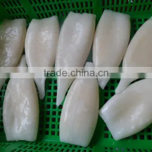 Frozen Squid Tube Fish U5 thumbnail-3
