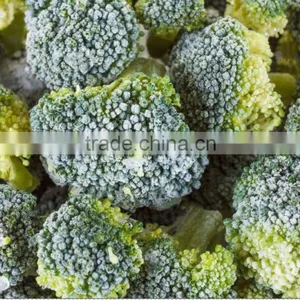 IQF Broccoli, Frozen Vegetables, IQF Vegetables thumbnail-2