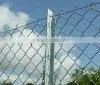Chain Link Fence thumbnail-1