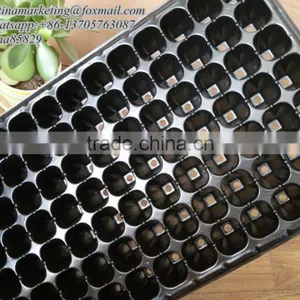 High Quality 105 Cell PS Plastic Plug Seedling Nursery Growing Tray for Gardening Seed Germination thumbnail-2