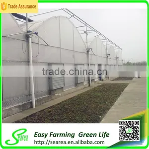 High Quality Greenhouse Roofing Material for Sale thumbnail-2