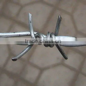 Razor Wire thumbnail-2