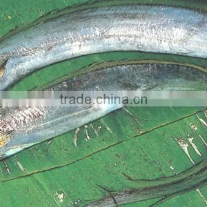 Ribbonfish thumbnail-1