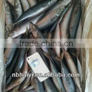 the New Catching Frozen Pacific Mackerel Was Coming 2013.7.9 thumbnail-3