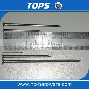 Factory Price Common Nail Made High Quality Made in China thumbnail-2