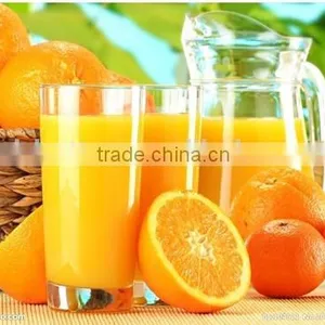 Halal Certification Passed Blending Orange Flavoured Ice Cream Powder thumbnail-5