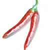 India Chillies thumbnail-1