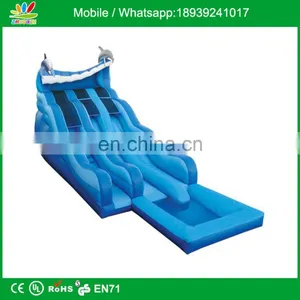 Dophin Design Rip N Dip With Pool thumbnail-1