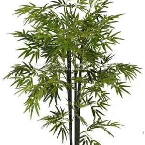 New Product Artificial Bonsai Bamboo Tree With Natural Colour thumbnail-1