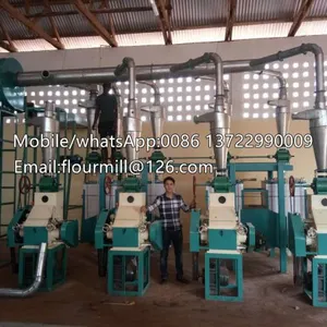 30TPD Corn Flour Machine,corn Milling Machine,maize Mill thumbnail-5
