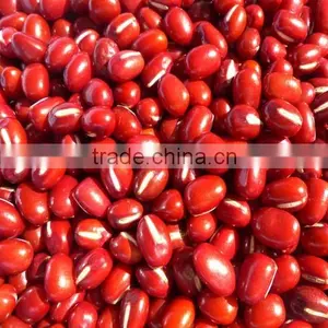 Adzuki Bean thumbnail-1
