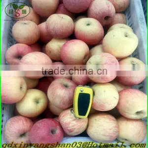 China New Crop Ripe Juicy Fresh Fuji Apples:60 Mm--70 mm thumbnail-2