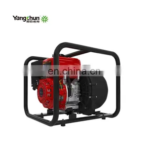 Low Noise Small 5.5Hp Farm Irrigation Petrol Water Pump Agricultural thumbnail-1