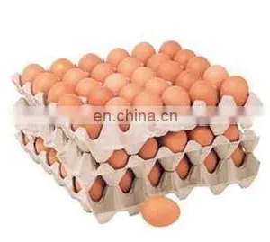 30 Psc Egg Tary Box Making Machine /Waste Paper Making Egg Tray Product Line /egg Tary Packing thumbnail-5