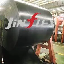 Introduction To Polyester Conveyor Belts thumbnail-1
