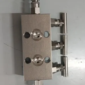 Customized 1/2NPT(M)-1/2NPT(F) High Temperature Resistance Transmitter Valve Stainless Steel Pressure Gauge Two-Valve Manifold 316SS thumbnail-3
