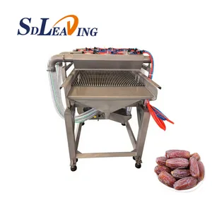 Large Capacity Industrial Palm Dates Processing Machine Date Drying Machine Heat Pump Dehydrator Dates Processing Line Plant thumbnail-5