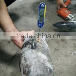 Seafrozen Skipjack Fish thumbnail-1