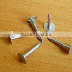 Galvanized Coated Broad Head Nails thumbnail-3