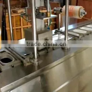 Modified Atmosphere Packing Machine TM170A Food Fresh Machine thumbnail-3