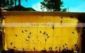 Natural Refined Bee Wax Foundation thumbnail-3