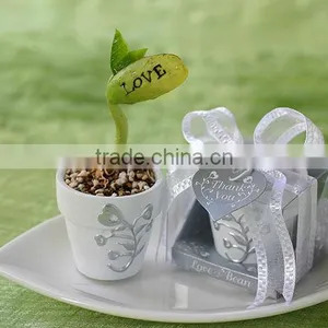 Home Decorative Message Bean,Message Bean in Tin thumbnail-1