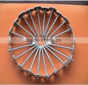 Galvanised/zinc Plated Umbrella Roofing Nails With Rubber Washer thumbnail-2