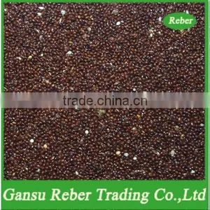 Black Broomcorn Millet thumbnail-1